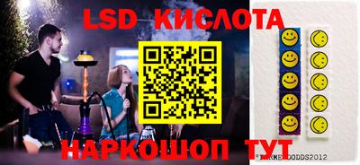 крисы Партизанск