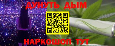 шишки Обь