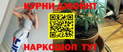 шишки Обь