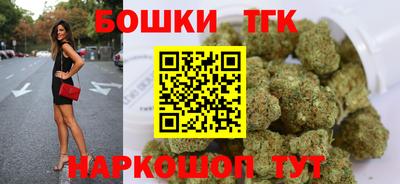 шишки Обь