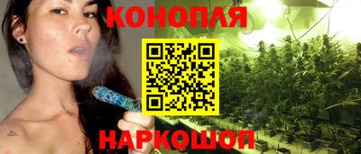 шишки Обь