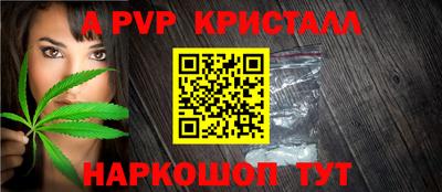 шишки Обь