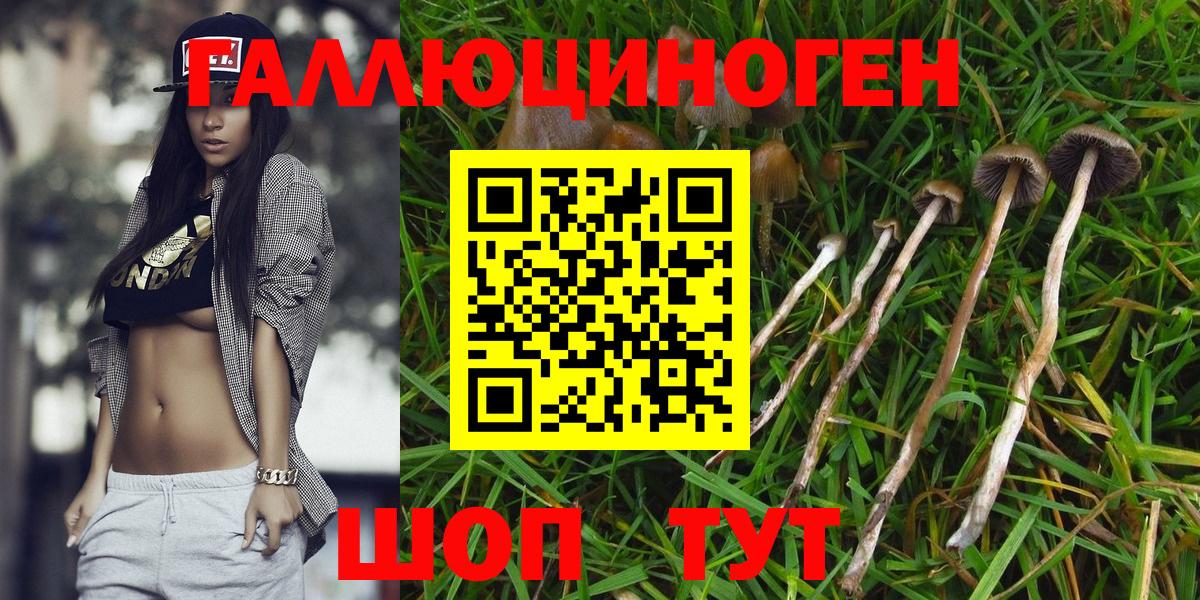 Псилоцибиновые грибы GOLDEN TEACHER  Вход с VPN  Знаменск 