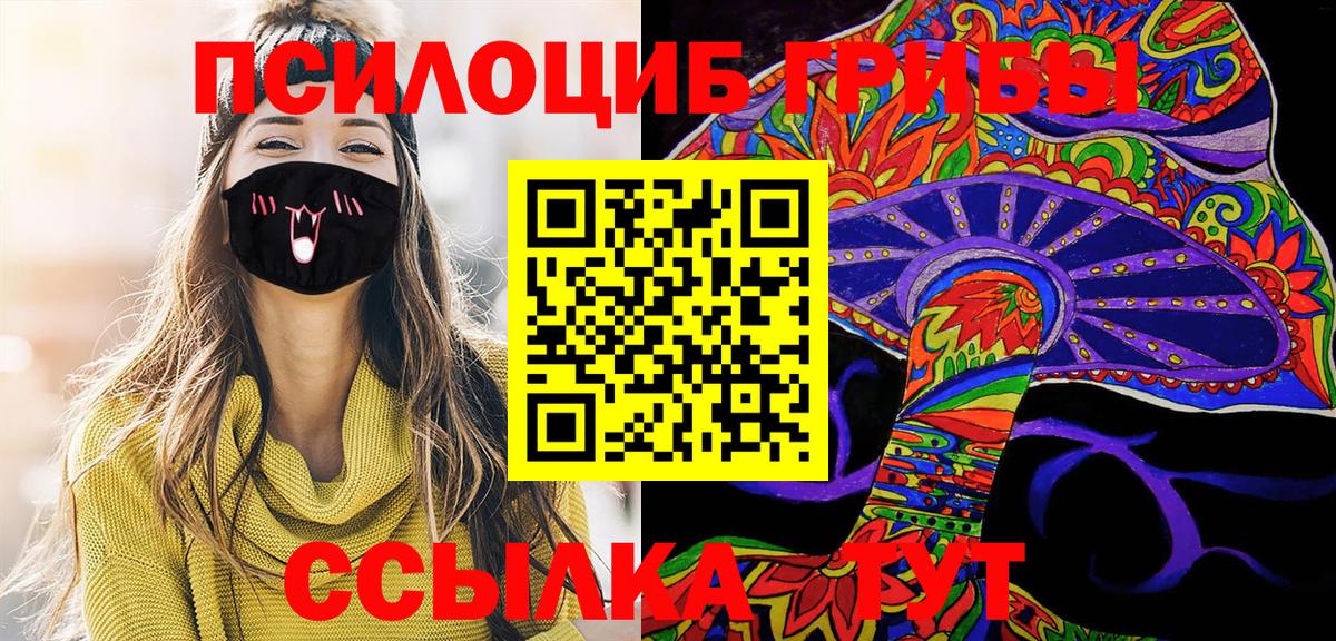 Галлюциногенные грибы Psilocybe Знаменск